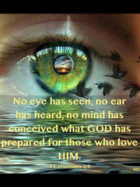 1 Corinthians 2:9 But as it is written, "Eye hath not seen,  nor ear heard,  neither have entered into the heart of man, the things which God hath prepared for them that love him." Woord Van God, Jehovah's Witnesses, E Card, Spiritual Inspiration, Verse Quotes, Jesus Loves, An Eye, Christian Faith, Holy Bible