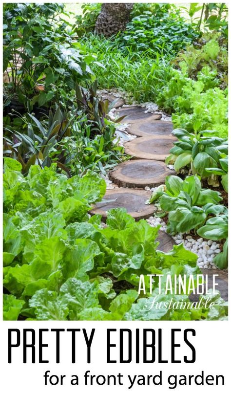 Grow a pretty front yard vegetable garden. Homestead ~ urban farm ~ urban garden ~ edible garden Homestead Urban, Front Yard Vegetable Garden, Yard Vegetable Garden, Garden Homestead, Urban Farm, Potager Garden, Edible Landscaping, Veg Garden, Forest Garden