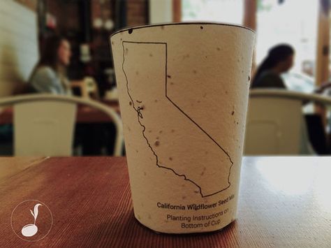 Let's face it, we're not going to give up drinking coffee, but there is a way to 'green-up' how you drink it. Check out this new biodegradable coffee cup that gives back when you throw it away. A remarkable invention! Biodegradable Cups, Plantable Paper, Creative Company, Design Seeds, Reduce Reuse, Buy Coffee, Wildflower Seeds, Back To Nature, Paper Cup