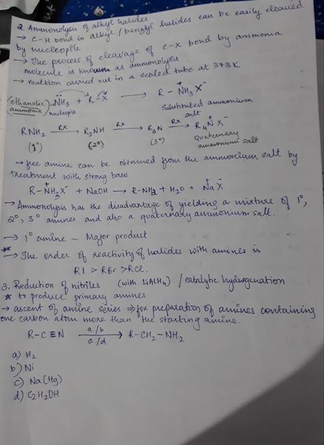 Neet Notes, Salt Free