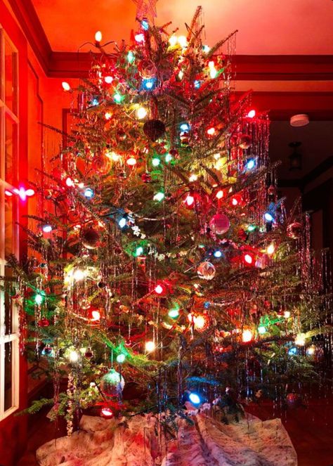 Christmas Tree Big Lights, Incandescent Lighting Christmas, Vintage Christmas Tinsel Tree, Color Light Tree, C9 Lights On Christmas Tree, Colored Christmas Lights On Tree, Coloured Lights Christmas Tree, Vintage Christmas Tree Tinsel, Christmas Tree With Big Light Bulbs