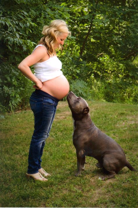 Photos With Dog, Awesome Animals, Pregnant Woman, Pregnancy Shoot, Maternity Pictures, Pregnancy Photoshoot, Mans Best Friend, Pregnancy Photos, Baby Pictures