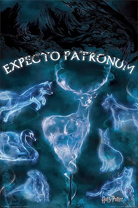 Expecto Patronum, Harry Potter