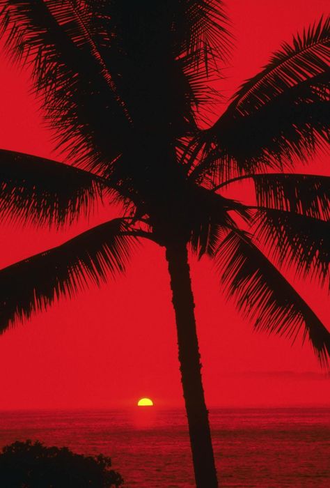 Beach Red Aesthetic, Red Ocean Aesthetic, Red Summer Wallpaper, Red Beach Aesthetic, Summer Red Aesthetic, Red Sunset Wallpaper, Red Sunset Aesthetic, Red Summer Aesthetic, Rouge Aesthetic