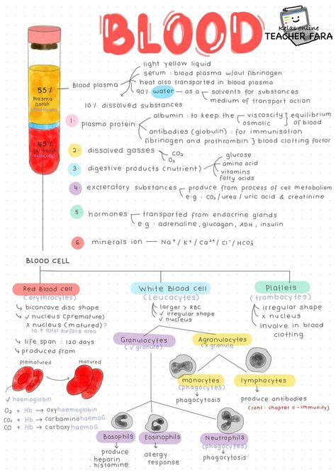 Phlebotomy Study, Biochemistry Notes, Learn Biology, Animals Aesthetic, خريطة ذهنية, Studera Motivation, Aesthetic Vogue, Medicine Notes, Nursing School Motivation