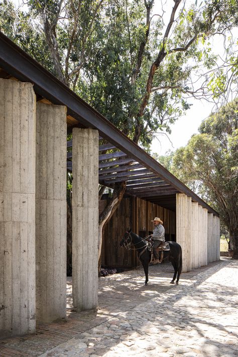 House On Columns, Horse Ranch Architecture, Ranch Architecture, Luxury Ranch, Double Glass Doors, Stone Columns, Modern Ranch, Steel Columns, Horse Ranch