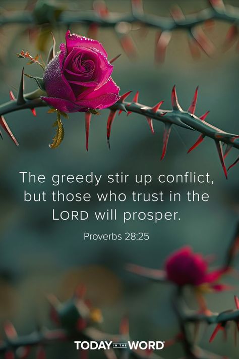 The greedy stir up conflict, but those who trust in the LORD will prosper. - PROVERBS 28:25. Today in the Word - a daily devotional Bible study🙏 #Christian #bibleverses #christianquotes #christianwallpaper The Idealist Quotes, Devotional Bible, Scripture Images, Proverbs 28, Book Of Proverbs, Book Of Psalms, Healing Scriptures, Trust In The Lord, Bible Devotions