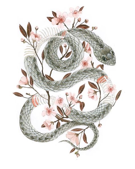 Snake in the Cherry Blossoms 🌸 A commission I painted a few years back.  #winsorandnewton #naturalhistoryillustration #cherryblossom… Georgina Taylor, Tatoo 3d, Kunst Tattoos, Snake Art, E Tattoo, Desenho Tattoo, Snake Tattoo, A Snake, Japan Art