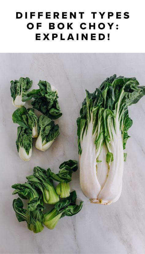 Bok choy (also spelled pak choy or pok choi) is one of the most commonly available and widely known Chinese vegetables outside of China. It's a Chinese leafy green in the cabbage and mustard (brassica) family, generally characterized by stalks attached at the base of the vegetable, like celery or napa cabbage. There are different varieties, which can cause confusion at the grocery store. This article will clearly explain the various types and how to cook them! Pok Choi, Vegetable Chow Mein, Pak Choy, Wok Of Life, Woks Of Life, The Woks Of Life, Chinese Vegetables, Chinese Market, Veggie Stir Fry