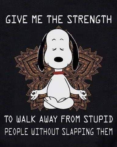 Snoopy Museum, Charlie Brown Quotes, Peanuts By Schulz, Snoopy Funny, Snoopy Quotes, Snoopy Pictures, Give Me Strength, Snoopy Love, Disney Svg