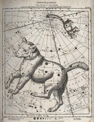 Constellation Ursa Major - Ursa Minor Ursa Major Ursa Minor, Ursa Major Constellation, Star Map Constellations, Ancient Astronomy, Maps Aesthetic, Ursa Minor, Science Space, The Constellations, Constellation Map