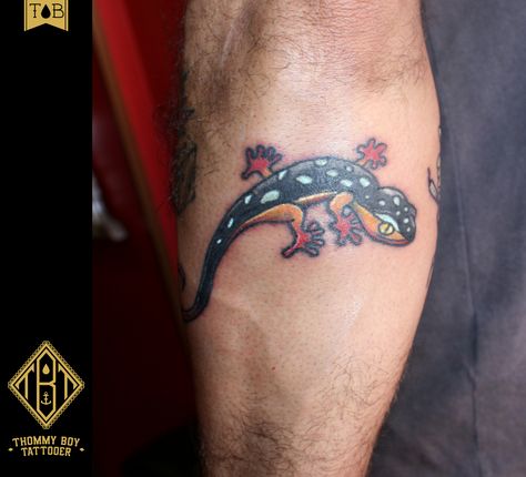 #thommyboytattooer #thommyboy #tattoo #oldschooltattoo #oldschool #newtraditional #newtraditionaltattoo #traditional #traditionaltattoo #gecko #geckotattoo #geco #truelovetattoo #truelove https://www.facebook.com/thommyboytattooer?ref=bookmarks Traditional Gecko Tattoo, Old School Tattoo Sleeve, Gecko Tattoo, True Love Tattoo, Tattoo Flash Art, New Traditional, Flash Art, Tattoo Flash, American Traditional