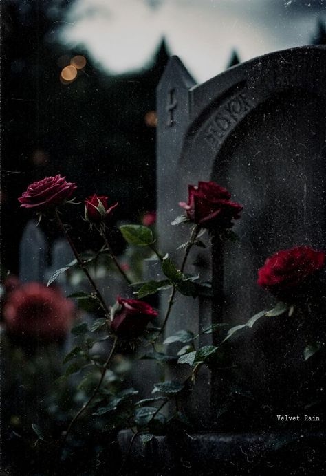 Goth Flowers Aesthetic, Grey And Red Aesthetic, Dark Garden Aesthetic, Adrien Aesthetic, Tomb Aesthetic, Dark Rose Aesthetic, Grave Aesthetic, Withering Rose, Romantic Goth Aesthetic