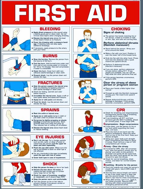 First Aid Steps, First Aid Poster, Food Safety Posters, Fire Safety Poster, First Aid Procedures, Food Safety And Sanitation, Health And Safety Poster, Nurse Study, Food Safety Tips