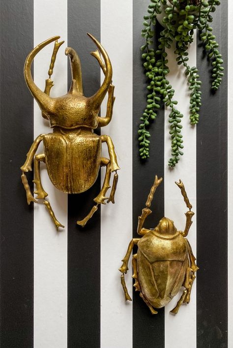 Art & Wall Decor | Quirky Wall Art | Punk & Poodle Beetle Wall Decor, Insect Room Decor, Bug Bedroom, Bug Decorations, Beetle Decor, Atlas Beetle, Gold Beetle, Flower Beetle, Taxidermy Wall