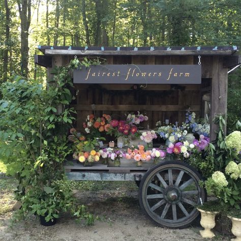 Farmers Market Stand, Flowers Farm, Cut Flower Farm, Flower Truck, Garden Stand, Flower Cart, Flower Business, Flower Farmer, Flower Bar