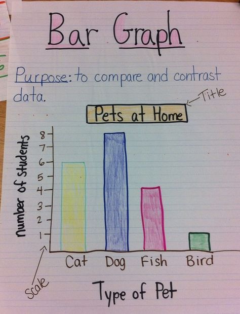 Digication e-Portfolio :: Susan Dubois' Portfolio :: Bar Graph Anchor Chart Graph Anchor Chart, Bar Graph Anchor Chart, Graphing Anchor Chart, E Portfolio, Kindergarten Anchor Charts, Stony Brook University, Math Charts, Bar Graph, Stony Brook