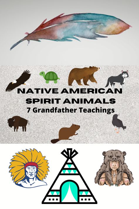 Native American Spirit Animals has been a way of life since time immemorial. Indigenous people have understood the importance of all living things and look to the animals as guides and teachers.  In this post were are going to dive into some of the meanings of the animals to certain tribes.  #NativeAmerican #SpiritAnimals #Teachings #IndigenousEducation Native American Animal Art, Native American Feathers Meaning, Native American Magic, Native American Teachings, Native American Spiritual Practices, Native American Education, Native American Map Indian Tribes, Native American Spirit Animals, Native American Knowledge