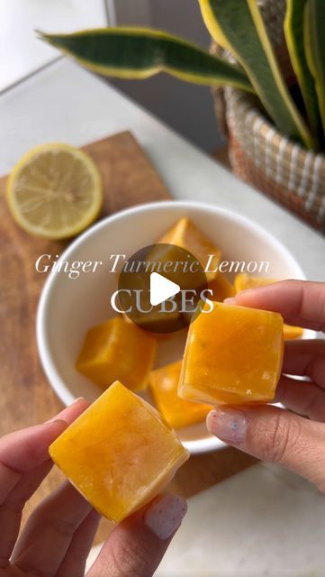 Marissa 🌺 | itsallgoodvegan on Instagram: "Ginger, Turmeric and Lemon 🍋🧊 Ice Cubes. 

Who knew wellness could come in cubes? Make these Cubes at home instead of dropping your coins on expensive wellness shots. Enjoy them cold with coconut water or hot with tea or warm water.

Makes 36 cubes or make 2 batches and save the rest for wellness shots. 

1 orange, peeled
1 lemon, peeled
1 knob of ginger
1 tsp turmeric 
1/2 tsp black pepper
Pinch of cayenne pepper, optional 
3 cups of filtered water

Blend all ingredients together, divide in ice cube tested and freeze. 

#immunitycubes #vitaminc #smoothierecipe" Wellness Ice Cubes, Lemon Ginger Ice Cubes For Hot Water, Lemon Ice Cubes, Ginger Shot, Wellness Shots, Ginger Turmeric, Filtered Water, Cayenne Pepper, Cayenne Peppers