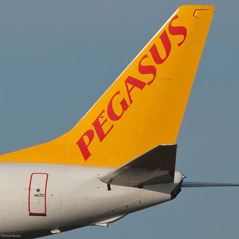 Pegasus Airlines Boeing 737-86N American Airlines Logo, Southwest Airlines Wallpaper, Southwest Airlines Logo, Pegasus Airlines, Texas International Airlines, Airline Logo, Boeing 737, Commercial Aircraft, Flight Attendant