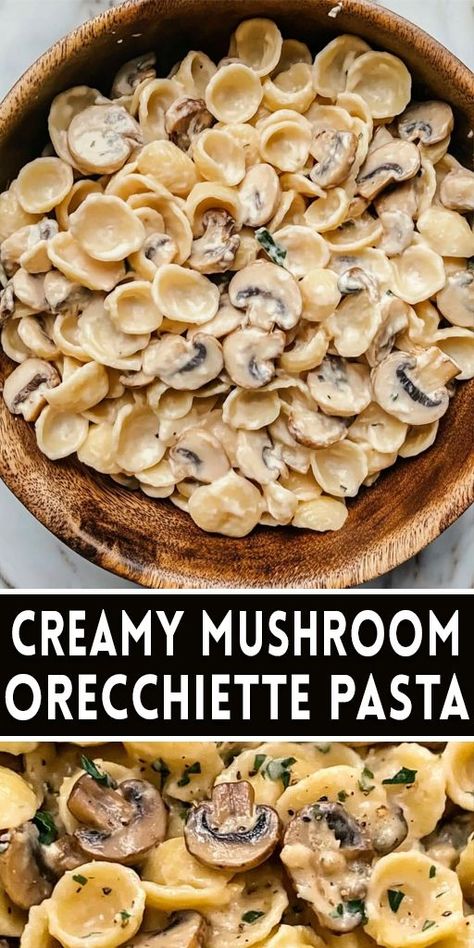 🍄 Creamy Mushroom Orecchiette Pasta is a rich and comforting dish! With sautéed mushrooms and a velvety cream sauce, this pasta is perfect for cozy dinners. It’s quick to prepare and works well for family meals or date nights. 💡 Save this pin and enjoy creamy pasta goodness tonight! #MushroomPasta #OrecchiettePasta #ComfortFood #PastaRecipes #EasyDinnerIdeas 🍝🍄 Farfalline Pasta Recipes, Orcchettie Pasta Recipes, Mushroom Cream Sauce Pasta, Ricotta Pasta Sauce, Orecchiette Pasta Recipes, Mushroom Pasta Recipes, Orecchiette Recipes, Cream Sauce Pasta, Mushroom Recipes Pasta