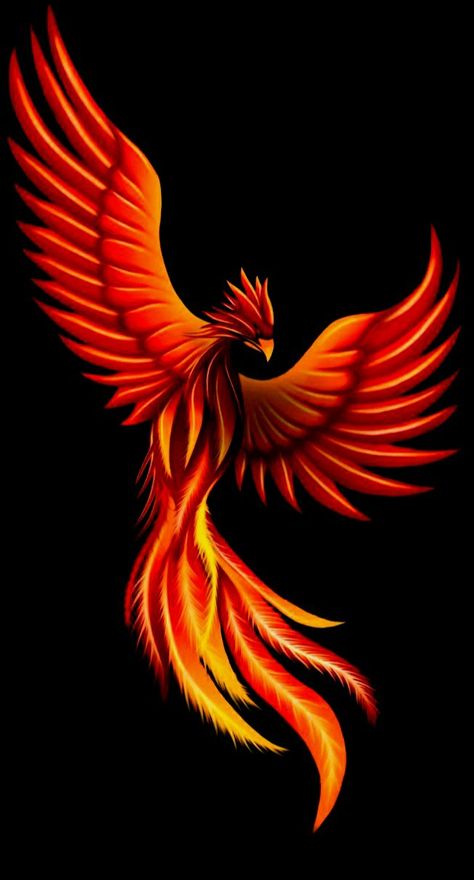 Phoenix Painting, Phoenix Drawing, Phoenix Bird Art, Small Phoenix Tattoos, Phoenix Wallpaper, Phoenix Artwork, Phoenix Images, Piece Tattoo, Phoenix Tattoo Design