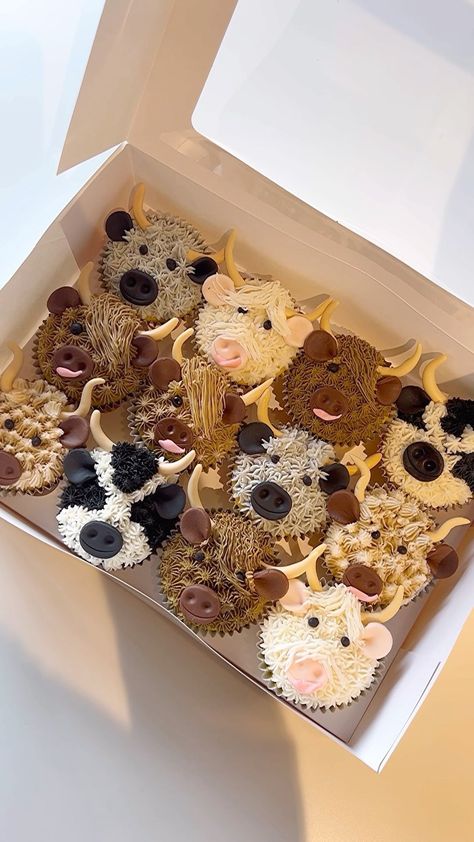 Wild West Cupcake Ideas, Longhorn Cow Cupcakes, Cow Decorated Cupcakes, Diy Cow Cupcakes, Hyland Cow Cupcakes, Western Cupcake Ideas, Cow Cupcakes Ideas, Cow Print Cupcakes, Cow Desserts