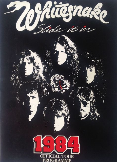 Whitesnake Band, Rock Wallpaper, Poster Rock, David Coverdale, Retro Band, Rock Band Posters, Rock And, Band Poster, Heavy Metal Rock