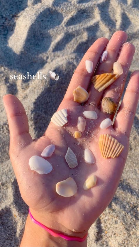 seashells, insta story, instagram story, insta story ideas, instagram story ideas, posts, seashell post, beach post, beach insta story, sand Beach Insta Story, Creative Beach Pictures, Story Ideas Instagram, Insta Story Inspo, Insta Story Ideas, Beach Post, Beach Poses By Yourself Photo Ideas, Beach Instagram Pictures, Holiday Stories