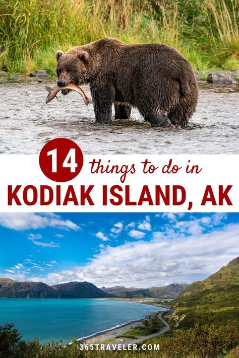 Featuring an open ocean, staggering cliffs, lush forests, winding roads, pristine beaches, tons of wildlife, and endless outdoor adventures, Kodiak is a must-see on any Alaska trip. The island also has a long and fascinating history you can learn about. Ready to learn more? Here are 14 things to do in Kodiak Island AK and the surrounding area that you're not going to want to miss! Things To Do In Kodiak Alaska, Kodiak Alaska Photography, Aleutian Islands Alaska, Kodiak Island Alaska, Alaska Packing List, Alaska Summer, Kodiak Alaska, Kodiak Island, Backcountry Snowboarding