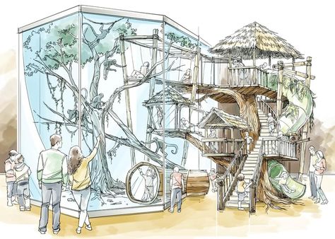 Zoo Exhibit, Spider Monkeys, Zoo Inspiration, Zoo Map, Enclosure Design, Zoo Project, Zoo Art, Zoo Architecture, Zoo Ideas