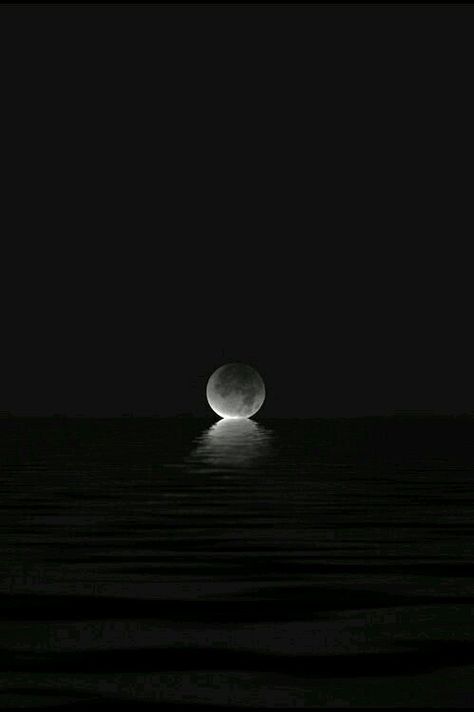 Moon kisses the sea Moon Symbols, Beautiful Moon, Trik Fotografi, Nature Images, Moon And Stars, Moon Stars, Black Wallpaper, Black Aesthetic, To The Moon