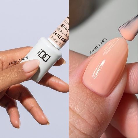 886-comparison Peach Manicure, Peach Toe Nails, Nude Peach Nails, Light Peach Nail Color, Sheer Peach Nails, Peach Colored Nails, Dnd Gel Nail Polish, Peach Nails, Transparent Nails