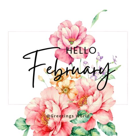 Hello February February Hello, Hello February, Hello Greeting