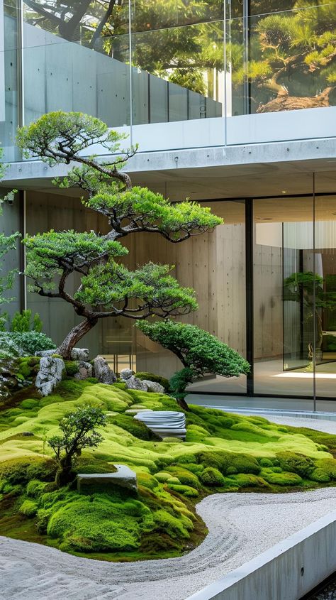 Bonsai Centerpiece, Japanese Garden Style, Place Aesthetic, Japanese Rock Garden, Seeking Peace, Japanese Garden Landscape, Aesthetic Architecture, Zen Garden Design, Japan Garden