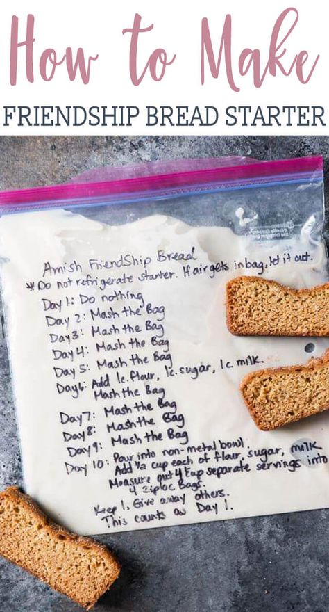 Use this Amish Friendship Bread Starter Recipe as a base for many sweet breads, dinner rolls, muffins and other baked goods. Hints for storing and using up the sourdough starter. #firendshipbread #starter #recipe #amish #sourdough Bread Starter Recipe, Amish Bread Starter, Amish Friendship Bread Starter Recipes, Friendship Bread Recipe, Friendship Bread Starter, Amish Bread, Amish Friendship Bread, Dough Starter, Friendship Bread