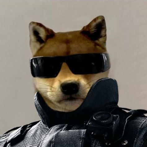 Twitch Profile Picture, Profile Picture Ideas, Profile Pictures, Picture Ideas, Your Image, Profile Picture, Dogs, Funny, Design