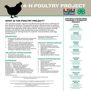 4h Poultry Project Ideas, 4 H Clover, Farm Livestock, 4h Ideas, Farm Chickens, 4 H Club, Veterinary Science, Agriculture Education, Hobby Farm