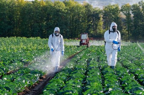 Nanotechnology promises to help farmers cut pesticide use – but could also make chemicals more toxic — The Conversation UK No Till Farming, Lower Belly Pooch, Precision Agriculture, Lady Lake, Crop Protection, Stomach Issues, Organic Produce, Soil Health, Nanotechnology