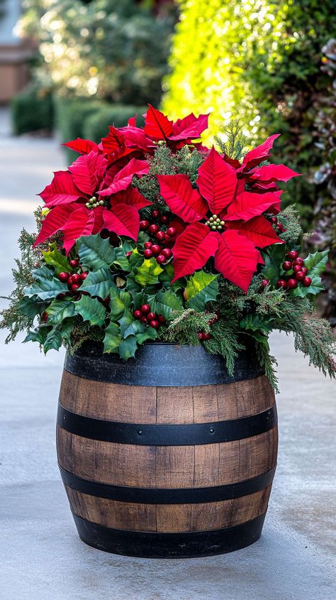 Festive winter planter with red poinsettias, holly, evergreen in a buffalo plaid wine barrel on a concrete porch. Christmas Planter Ideas, Whiskey Barrel Planter, Christmas Planter, Diy Porch Decor, Holiday Planter, Barrel Decor, Natural Christmas Decor, Festive Centerpieces, Flower Pot Design