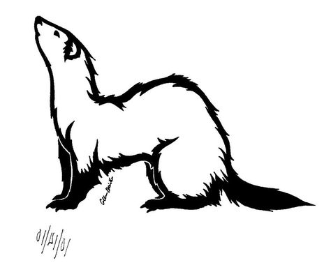 I think this would make a great tattoo. Maybe even as a white tattoo. Ferret Tattoos, Ferret Drawing, Ferret Tattoo, Tattoo Line Art, Tattoo Line, Line Art Images, Cute Ferrets, Art Articles, White Tattoo