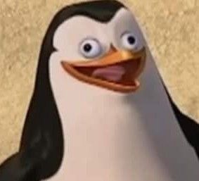 Funny Penguin Pictures, Penguins Of Madagascar Pfp, Penguins Of Madagascar Funny, Pinguin Meme, Madagascar Meme, Penguins From Madagascar, Penguin Meme, Pp Wa, Penguins Of Madagascar