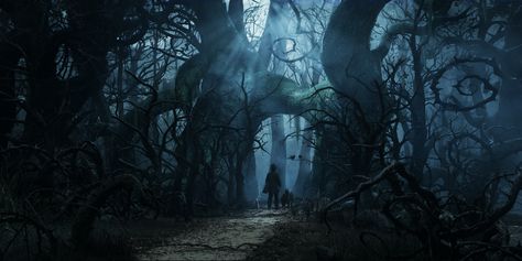 Oz Advice: Never travel to the Dark Forest without a friend. Oz The Great And Powerful, Classe Harry Potter, Alice In Wonderland Aesthetic, Land Of Oz, Book Trailer, Computer Wallpaper, Dark Forest, Wizard Of Oz, Tim Burton