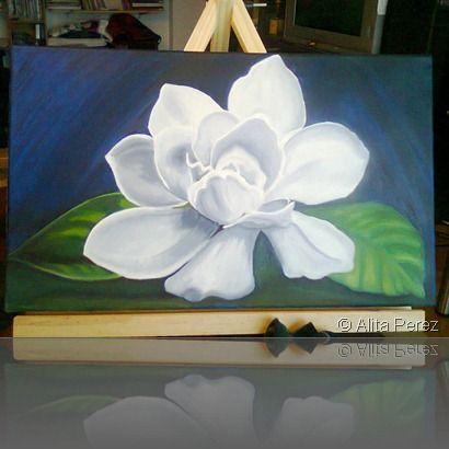 Gardenia Painting, Paint Crafts, Pictures To Paint, House Painting, Paint, Anime, Home Decor, Art, Design