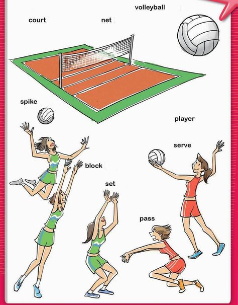 Volleyball Beginners, Volleyball Drawing, Volleyball Rules, Volleyball Serve, Story In English, Soccer Training Drills, Volleyball Skills, Volleyball Practice, Volleyball Inspiration