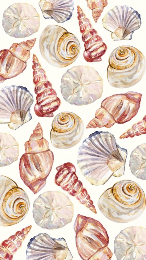 Seashell wallpaper #seashell #shell #ocean #beach #wallpaper Ocean Beach Wallpaper, Seashell Wallpaper, Scrapbook Letters, Gcse Art Sketchbook, Book Background, Snoopy Wallpaper, Lit Wallpaper, Phone Wallpaper Patterns, Gcse Art