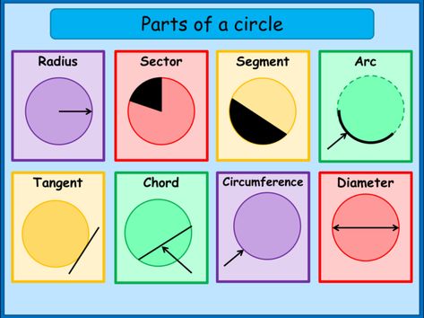 Parts Of A Circle, Cool Math Tricks, Math Charts, Circle Math, Learning Mathematics, Math Tutorials, Gcse Math, Math Vocabulary, Math Notes