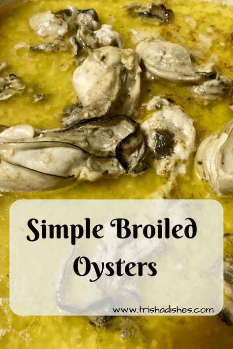 Simple Broiled Oysters Recipe | Trisha Dishes | Romantic Dinner Recipe | Appetizer Recipe | Seafood Recipe Broiled Oysters Recipe, Broiled Seafood, Baked Oyster Recipes, Oyster Stew Recipes, Broiled Oysters, Baked Oysters, Cooked Oysters, Oyster Stew, Oyster Roast