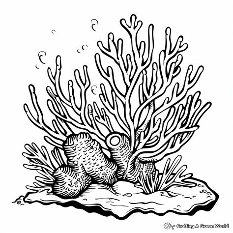 Coral Coloring Pages, Coral Drawing Simple, Coral Reef Sketch, Coral Reef Tattoo, Coral Reef Drawing, Coral Tattoo, Coral Drawing, Coral Reef Color, Coral Reef Art