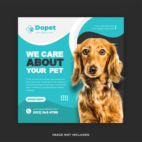 Vector pet training service social media... | Premium Vector #Freepik #vector #pet-hospital #animal-hospital #veterinary-clinic #pet-doctor Vet Graphic Design, Veterinary Design, Dog Clinic, Pet Doctor, Pet Branding, Pet Hospital, Animal Rescue Center, Disney Frozen Elsa Art, Pet Vet